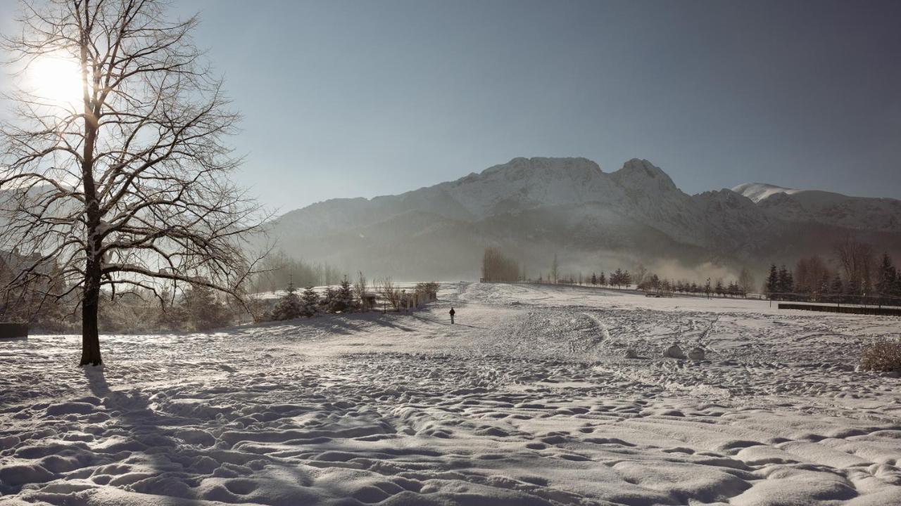 Dom Pod Lipkami Apartment Zakopane Bagian luar foto